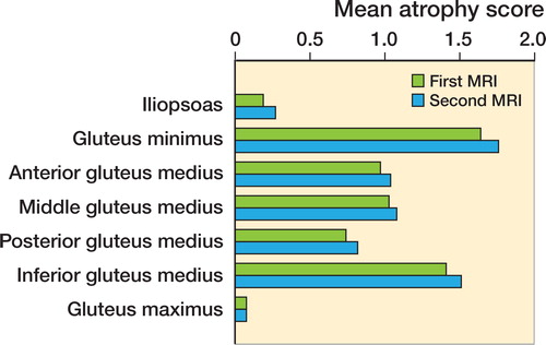 Figure 3. The change in muscle atrophy scores from first MRI (green) to second MRI (blue), where gluteus minimus and posterior and inferior gluteus medius had the greatest mean change between time points.