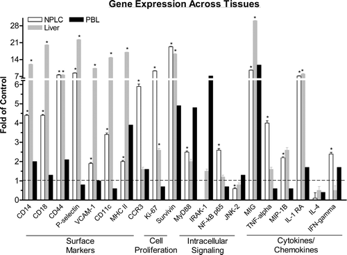 FIG. 5 Gene Microarray Analysis Across Tissues. Female mice were administered 4 mg/kg ISIS 12449 q2d for 1 wk. Whole blood was harvested for collection of leukocytes while the non-parenchymal cells were isolated from the liver. Total RNA from these tissue fractions as well as from whole liver was subjected to oligoarray analysis as detailed in Materials and Methods. A selected list of genes are shown and represented as fold change from PBS control. *Denotes significant difference from PBS control.