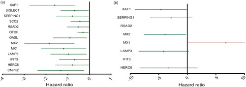 Figure 4. The expression level of ISGs associated with the prognosis of RRMS patients. (a) Single-factor Cox regression analysis. (b) Multifactor Cox regression analyses. The four ISGs obtained by constructing the prognostic model shown in the forest map, red indicates high-risk gene and green denotes low-risk genes.