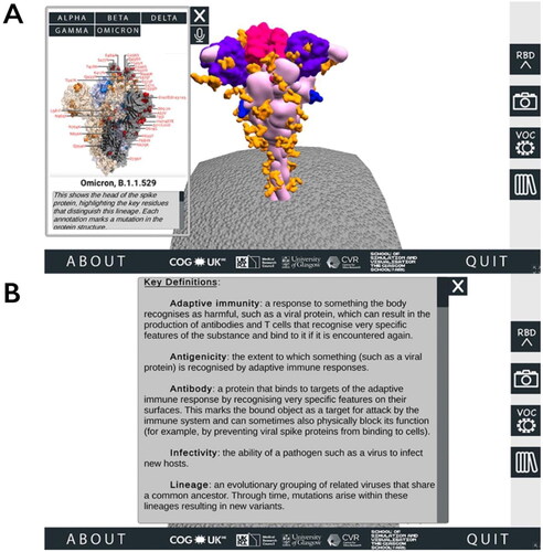 Figure 2. Accessing additional information through the SARS-CoV-2 Spike Protein Mutation Explorer. Screenshots show (A) the VOC menu, which is accessed via the right-hand side button which is labelled ‘VOC’ and contains an image of two simple viruses and (B) the Glossary panel, which is accessed from the bottom right-hand side button containing an image of books.