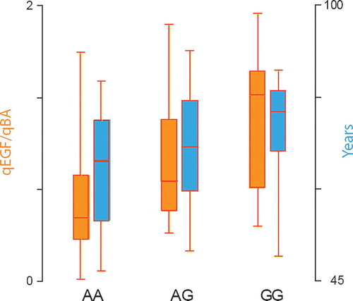 Figure 1.  Distribution of age and EGF gene expression levels in normal colon tissue according to EGF A61G genotype. The left side boxplots (orange) represent the EGF gene expression levels in normal colon and the right side box plots (blue) the age in years.