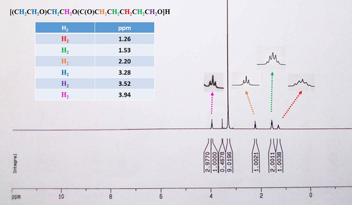 Figure 2. 1H-NMR of PCL-PEG4000-PCL triblock copolymers.