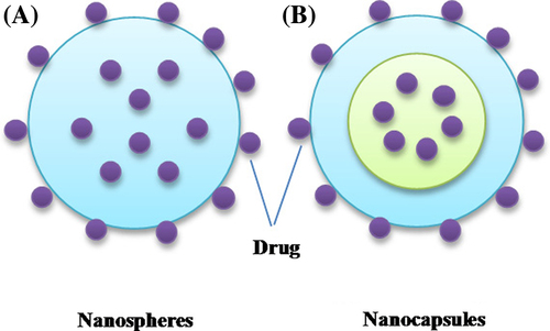 Figure 1. Different types of nanoparticles (A) Nanospheres where drug is either entrapped in the polymer matrix or adsorbed onto surface or both. (B) Nanocapsules where drug is either entrapped inside the hollow capsule or adsorbed onto surface or both.