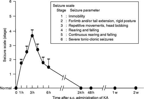 Figure 1.  Time course of seizure scale (stage) of KA-induced seizures. Values represent means ± SEM.