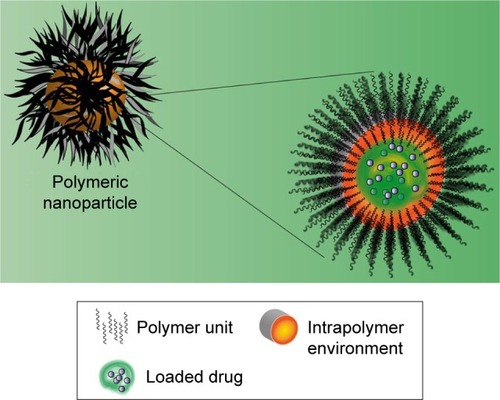 Figure 7 Polymeric nanoparticles structure for drug delivery.