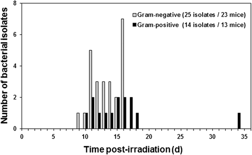 Figure 2. Incidence of Gram-negative and Gram-positive bacteria detected in ventricular heart blood, liver, and/or spleen of euthanized, moribund B6D2F1/J mice vs. time (days) post-irradiation (9.5 Gy or 9.75 Gy Co-60 gamma-radiation).