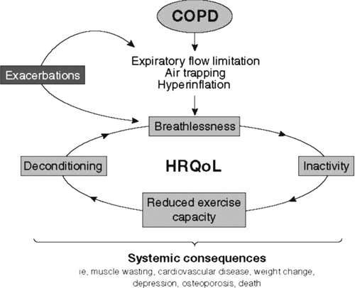 Figure 2 The clinical course of COPD, showing the vicious cycle that ensues and some of the associations with systemic consequences and co-morbidities. See text for an explanation.