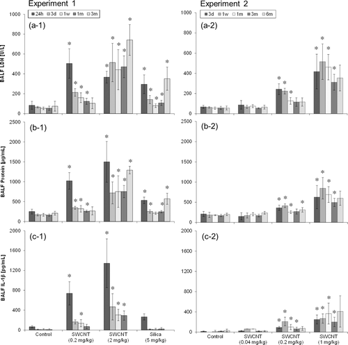 Figure 7.  LDH value (a), protein content (b), and IL-1βactivity (c) in BALF of SWCNT-exposed rats and corresponding controls at each time point in experiments 1 (left column) and 2 (right column). Values are represented as the mean ± SD. *Significant increase from vehicle control (p < 0.05).