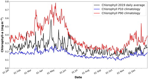 Figure 2.4.1. 2019 daily chlorophyll average for the North Atlantic Ocean (black), daily P90 (red) and P10 (blue) 1998–2017 climatological values, calculated using the CMEMS Ocean Colour ATL REP dataset (OC-CCI, product reference 2.4.1).