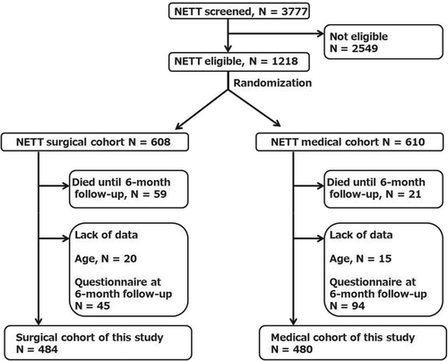 Figure 2.  Flow chart for patient entry. NETT: National Emphysema Treatment Trial. N: Number of patients.