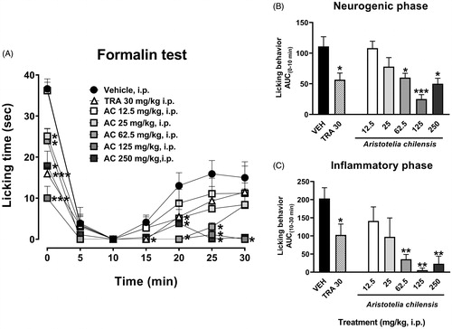 Figure 2. Temporal course curves (A) and dose-response (AUC) antinociceptive effects of A. chilensis powder (AC) and tramadol (TRA, reference drug) after parenteral administration on the neurogenic (B) and inflammatory (C) phases of the 1% formalin intraplantar in mice compared to the vehicle. A two-way ANOVA followed by Bonferroni’s post-hoc test for temporal course curves and a one-way ANOVA followed by Dunnett’s post-hoc test for dose-response data. *p < 0.05, **p < 0.01 and ***p < 0.001, n = 6 repetitions.
