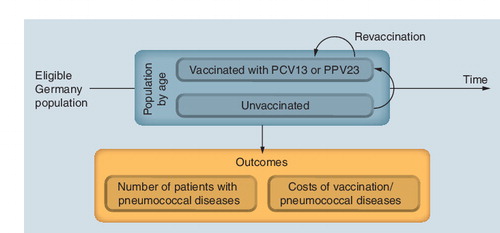 Figure 1. Modeling approach: simulating vaccination over time.PCV13: 13-valent pneumococcal conjugate vaccine; PPV23: 23-valent pneumococcal polysaccharide vaccine.