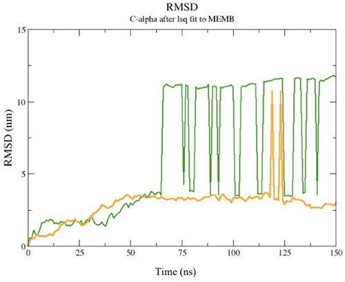 Figure 5. Root mean square deviation (RMSD) graph of molecular dynamics simulation between model number 56, in conformation number 287 of TTIp (purified trypsin inhibitor from tamarind seeds – TTIp 56/287) with the bilayer model, in the 3:1 ratios of 1-palmitoyl-2-oleoyl-sn-glycero-3-phosphoglycerol (POPG) to anionic 1-palmitoyl-2-oleoyl-sn-glycero-3-phosphoethanolamine (POPE) in the Gram-positive (ten peaks), and 1:3 POPG-POPE in Gram-negative membrane representation (two peaks) generated from molecular dynamics.