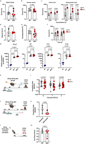 Figure 5. Absence of 6 DUF1471 protein-encoding genes does not affect the fitness and the virulence of Klebsiella pneumoniae in-vitro and in-vivo.