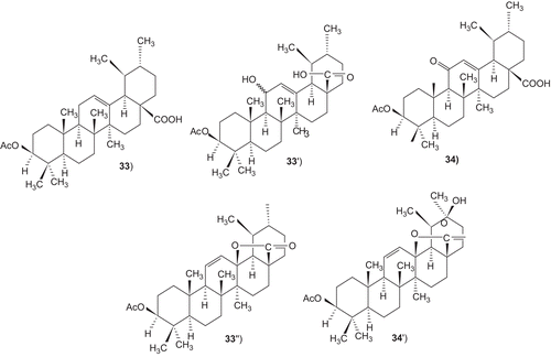 Scheme 5.  Oxidation of ursolic acid acetate with DMSO.