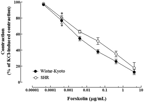Figure 5. Effects of increasing concentrations (0.00004–4.1 µg/mL) of the positive reference drug forskolin on the contraction induced by KCl (60 mM) in isolated thoracic aortic preparations with functional endothelium from WYK rats (n = 4) and SHRs (n = 3). Vertical bars indicate S.E.M. *p < 0.05 by Dunnett's test with respect to basal values.