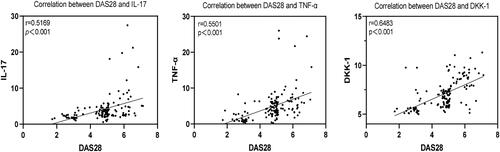 Figure 3. Relationship between DAS28 scores and the expression levels of IL-17, TNF-α and DKK-1 in RA.