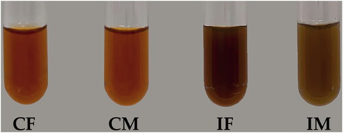 Figure 2. The external appearance of C. militaris fruiting body extract (CF), C. militaris mycelium extract (CM), I. tenuipes fruiting body extract (IF), and I. tenuipes mycelium extract (IM).