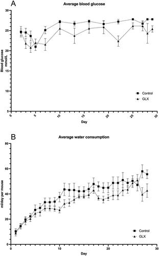 Figure 1. GLX7013159 treatment decreases blood glucose levels and water consumption in athymic diabetic mice with human islet transplants.(A) Average blood glucose values for GLX7013159-treated and control mice, following alloxan injection on day 0, and human islet transplantation on days 2 and 3. Values of HI (>27.8 mmol/L) were registered as 27.8 mmol/L. Mean AUC (post-transplantation) for control and GLX7013159-treated mice (GLX mice) were 752 ± 8 and 684 ± 21 mmol/L × 30 days, respectively (p = 0.01, n = 7–8 animals in each group). All values are given as means ± SEM. (B) Water consumption was lower throughout the treatment period for GLX7013159-treated mice, with AUC 1113 ± 83 mL for control and 888 ± 51 mL for the treatment group (p < 0.05). All values are given as means ± SEM.