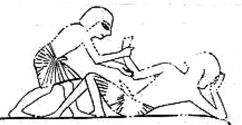 Figure 4. Detail from the Catafalque scene from the tomb of Ipwy. Modified from Davies (Citation1927).