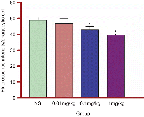 Figure 1.  Phagocytosing capacity of blood phagocytic cells of study (given PQ) and control (given NS) mice. *Data are significantly different (p < 0.05) from the control group. Data was expressed in terms of arbitrary units.