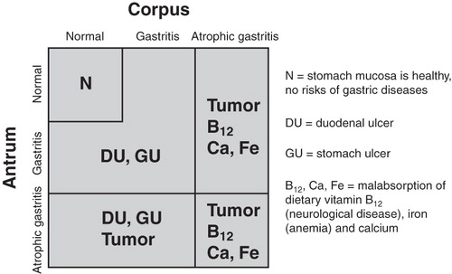 Figure 1. Algorithm on how nonatrophic Helicobacter pylori gastritis and atrophic gastritis in different parts of the stomach are linked with risk of gastric cancer, peptic ulcer disease, and with failures in absorption of dietary vitamin B12 and some essential micronutrients. Abbreviations: N = stomach mucosa is healthy, no risks of gastric diseases; DU = duodenal ulcer; GU = stomach ulcer; B12, Ca, Fe = malabsorption of dietary vitamin B12 (neurological disease), iron (anemia), and calcium.