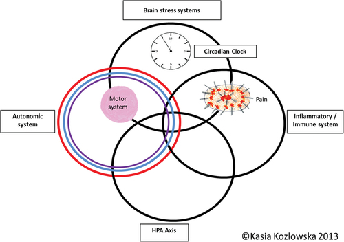Figure 1. Circles metaphor of the stress-system model for functional somatic symptoms (including FND).
