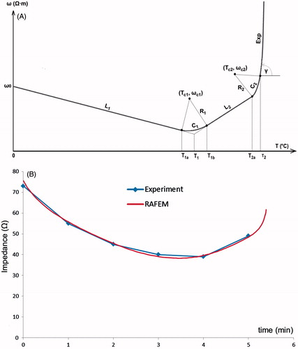 Figure 8. (A) FEM modelling with RAFEM-2: temperature dependent changes in resistivity during the heating phase are described by a line-circle-line-circle exponential function, Equations Equation3–7, using parameters given in Table 2. (B) Determination of parameters in Equations Equation3–7 by fitting ex vivo bovine liver impedance data with RAFEM-2 (power = 50 W, distance between electrodes = 2 cm, diameter of electrode = 1.8 mm, row pattern).