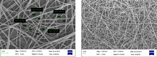 Figure 2. SEM images of blank nano fibers.