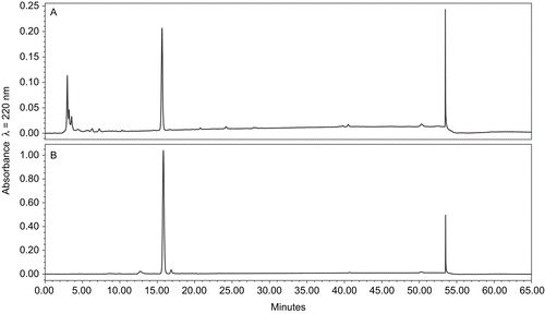 Figure 1.  HPLC chromatogram of C. bainieri crude extract (A) and salvinorin B at 15.6 min (B).