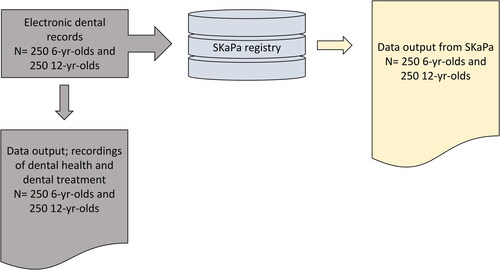 Figure 1. Schematic description of data collection.