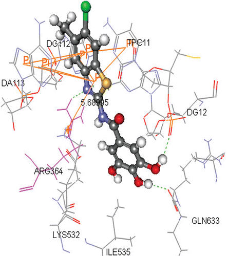 Figure 8.  Publication quality of the lowest docked compound 6b with topoisomerase-I enzyme with Docking value = −45.10. The binding pattern showed: [3HB with the surrounded amino acids and DNA nucleotides including Arg364 (as a crucial SAR), 6 lipophilic pi-pi interactions with the surrounded amino acids and DNA nucleotides, and a [ pi-(+)] interaction between it and Arg364 by distance =5.69 Å].