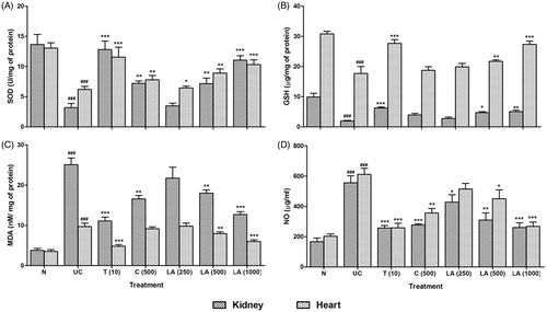 Figure 1. Effect of l-arginine on cardiac and renal SOD, GSH, MDA, and NO in EG-induced urolithiasis in uninephrectomized rats. Results are represented as mean ± SEM (n = 6) Data are analyzed by One-way ANOVA followed by post hoc Dunnett’s tests. ###p < 0.001 as compared with normal group. *p < 0.05, **p < 0.01, ***p < 0.001 as compared with urolithiasis control group.
