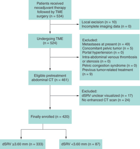 Figure 1. Flow diagram of enrolled patients between December 2014 to July 2017.dSRV: Diameter of the superior rectal vein; TME: Total mesorectal excision.