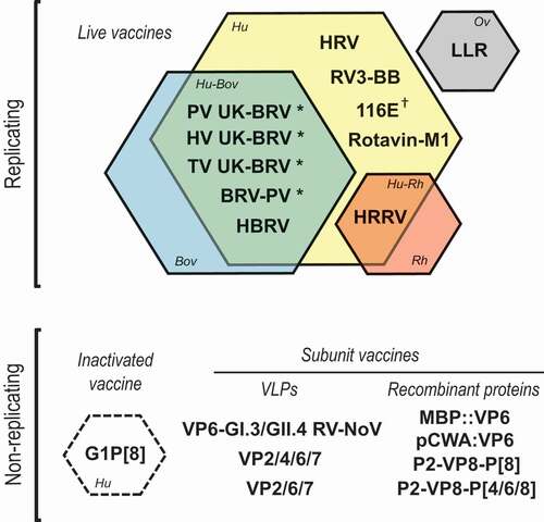 Figure 2. Overview of the rotavirus vaccines included in this review reflecting their vaccine concept and type of strain.