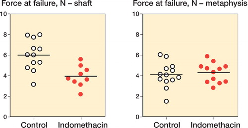 Figure 2. Force at failure with and without indomethacin in a shaft fracture model and a metaphyseal fracture model.