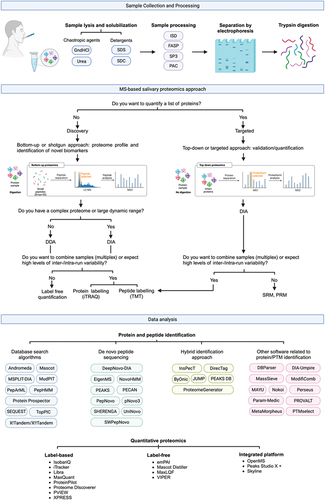 Figure 3. Proteomics workflow and most used experimental approaches in proteomic studies using saliva as liquid biopsy for oral cancer. This image was created in BioRender.