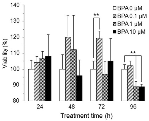 Figure 1. Viability of human macrophages after treating with BPA at different concentrations and for different durations (n = 5, mean ± SD). **p < 0.01 vs. 0 µM.