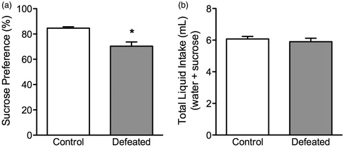 Figure 3. Effects of social defeat stress on sucrose preference in adolescent male c57BL/6 mice. (a) Twenty-four hours after social defeat (postnatal day 45), stressed (defeated; n = 12) adolescent mice displayed a decreased preference for a 1% sucrose solution, when compared to control (non-stressed; n = 10) mice. (b) No differences in total liquid intake (sucrose + water) were detected between the groups. *Significantly different from controls (p < 0.05). Data are presented as percentage or total mL consumed (mean + SEM).