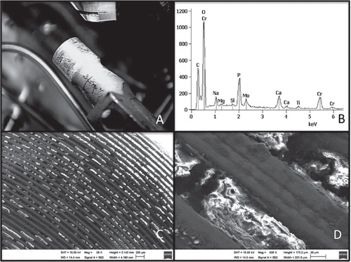 Figure 5. Material present on the trunnion of the femoral component (panel A) was investigated by EDAX, revealing chromium (Cr), molybdenum (Mo), and oxygen (O) peaks consistent with corrosion products (panel B). The organic material within the grooves containing chromium oxides is shown at approx. 30× (panel C) and 500× magnification (panel D).