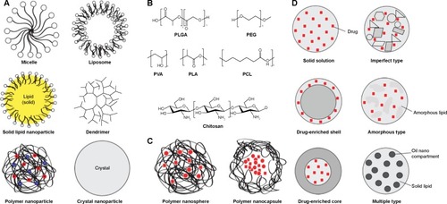 Figure 1 Schematic representations of nanoparticles.Notes: (A) Graphical representations of the most common types of nanoparticles. Charges in polymers are indicated as red and blue circles for some polymer nanoparticles. (B) Chemical structures of the most common types of polymers used in polymer nanoparticles. (C) Graphical representations of the two types of polymer nanoparticles. The drugs incorporated are shown in red. (D) Drug-incorporation models in solid lipid nanoparticles (left) and types of nanostructured carriers (right).Abbreviations: PLGA, poly(lactic-co-glycolic acid); PEG, polyethylene glycol; PVA, polyvinyl alcohol; PLA, poly-l-lactic acid; PCL, polycaprolactone.