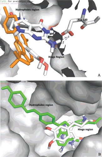 Figure 5.  (A) Comparison of compound 5 and PP2 (orange) with Fyn binding site; (B) Comparison of compound 5 and CGP77675 (green) with c-Src binding site.