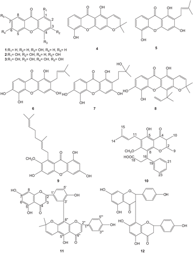 Figure 1.  Structures of compounds from Guttiferae species with significant antiplatelet aggregation effects.