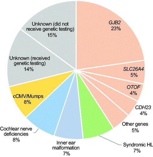 Figure 1. Etiology of Japanese CI children (n = 308). Orange indicates non-syndromic hearing loss associated with specific gene mutations, green indicates syndromic HL, blue indicates inner ear anomalies, light blue indicates cochlear nerve deficiencies, yellow indicates congenital CMV infection- or mumps-associated HL, and gray indicates the patients with unknown etiology.