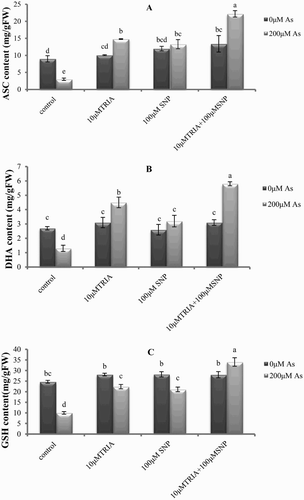 Figure 3. Effects of As, TRIA and SNP applications on (A) ASC and (B) DHA content (C) GSH content in C. sativum. Values are means ± SE (n = 3). In the individual column, bars with different letters are statistically different (P < .05) according to DMR tests.