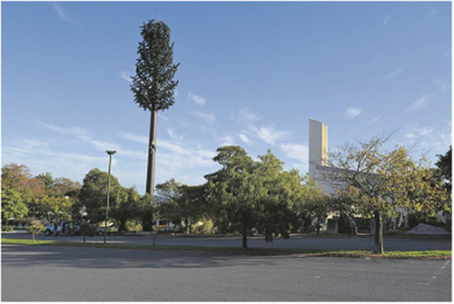 Figure 2. Installed Camouflaged Telecommunication Mast, South Africa. Source: The City of Polokwane, 2015.