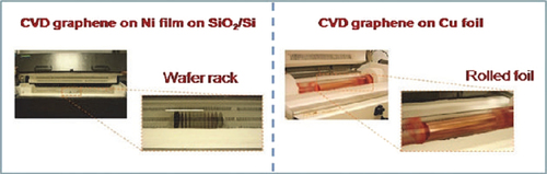 Figure 3. Ni/SiO2/Si wafers and copper foils are loaded in the CVD graphene system (CitationDe Arco et al. 2011).
