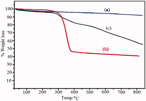 Figure 8. Thermogravimetric analysis of (a) Fe3O4 nanoparticles, (b) Fe3O4/PSt, (c) Fe3O4/PSt-g-PANi nanocomposite.