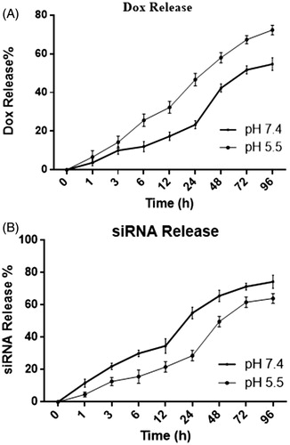 Figure 5. IGF-1R siRNA and DOX releasing assay at different time and pH conditions. (A) IGF-1R siRNA release curve of ChiNP/siRNA/CMD in PBS with pH 5.5 and 7.4. (B) DOX release curve of ChiNP/DOX/CMD in PBS with pH 5.5 and 7.4.