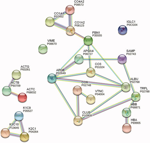 Figure 3. STRING protein network analysis. Putative protein interactions are indicated using differently colored lines: curated database entries (pink), experimentally determined interactions (light blue), correlated gene expression (black), protein homology (light purple), and textmining (green). Only highest confidence interactions (0.900) are depicted (see colour version of this figure at https://www.tandfonline.com/ibmg).